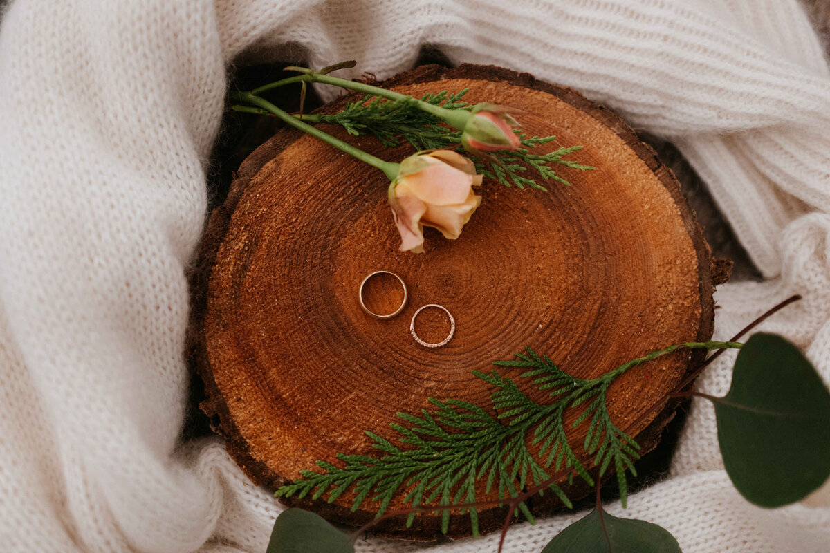 Elsabet-Martin-Wedding-Nov2024-485