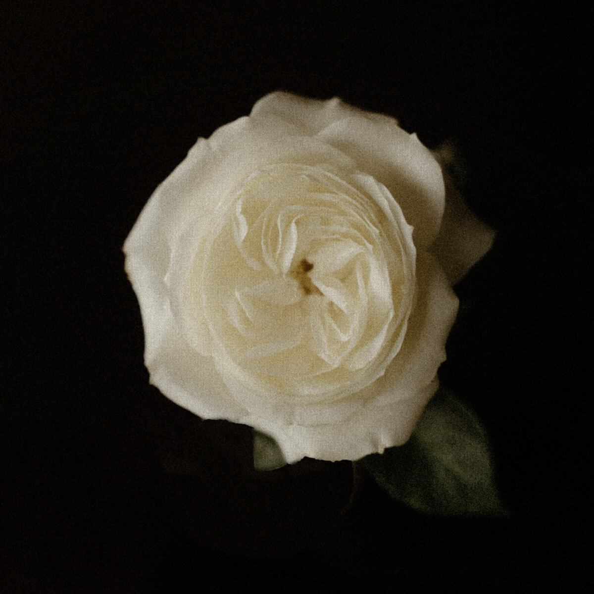 reception details-17_websize