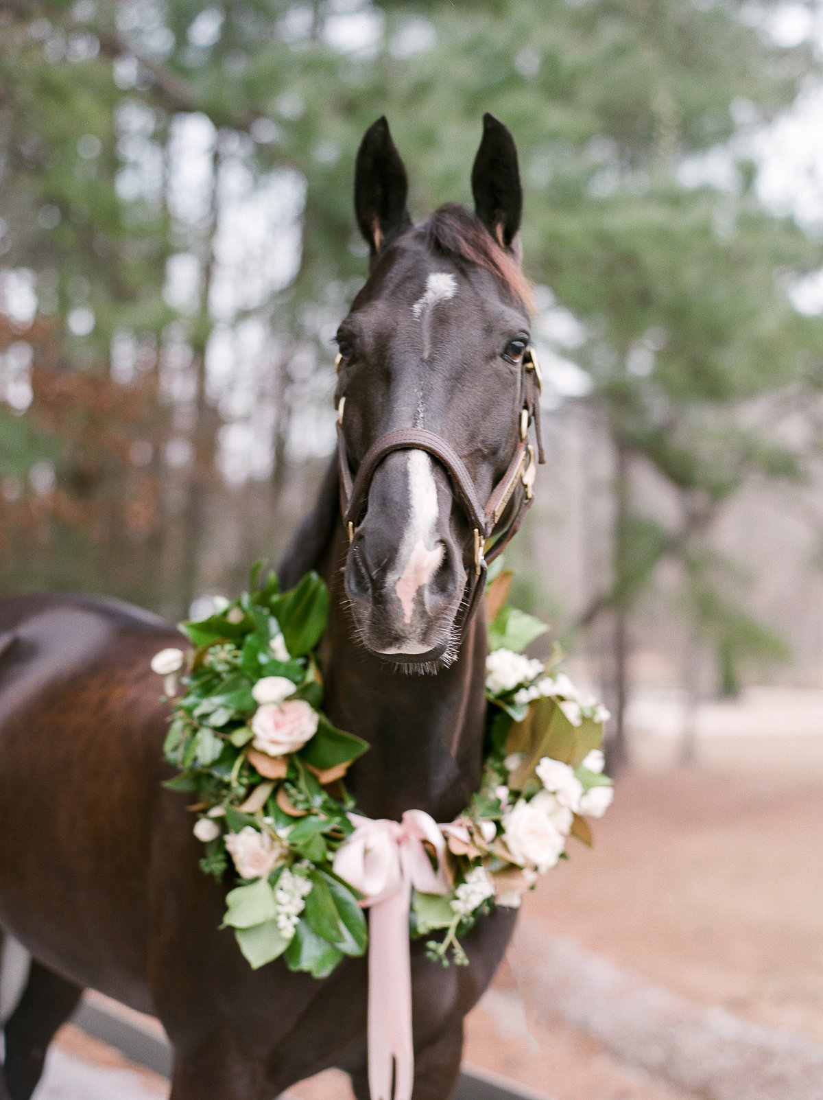 Windwood_Equestrian_Outdoor_Farm_Wedding_VenueJulie_Paisley_Photography88