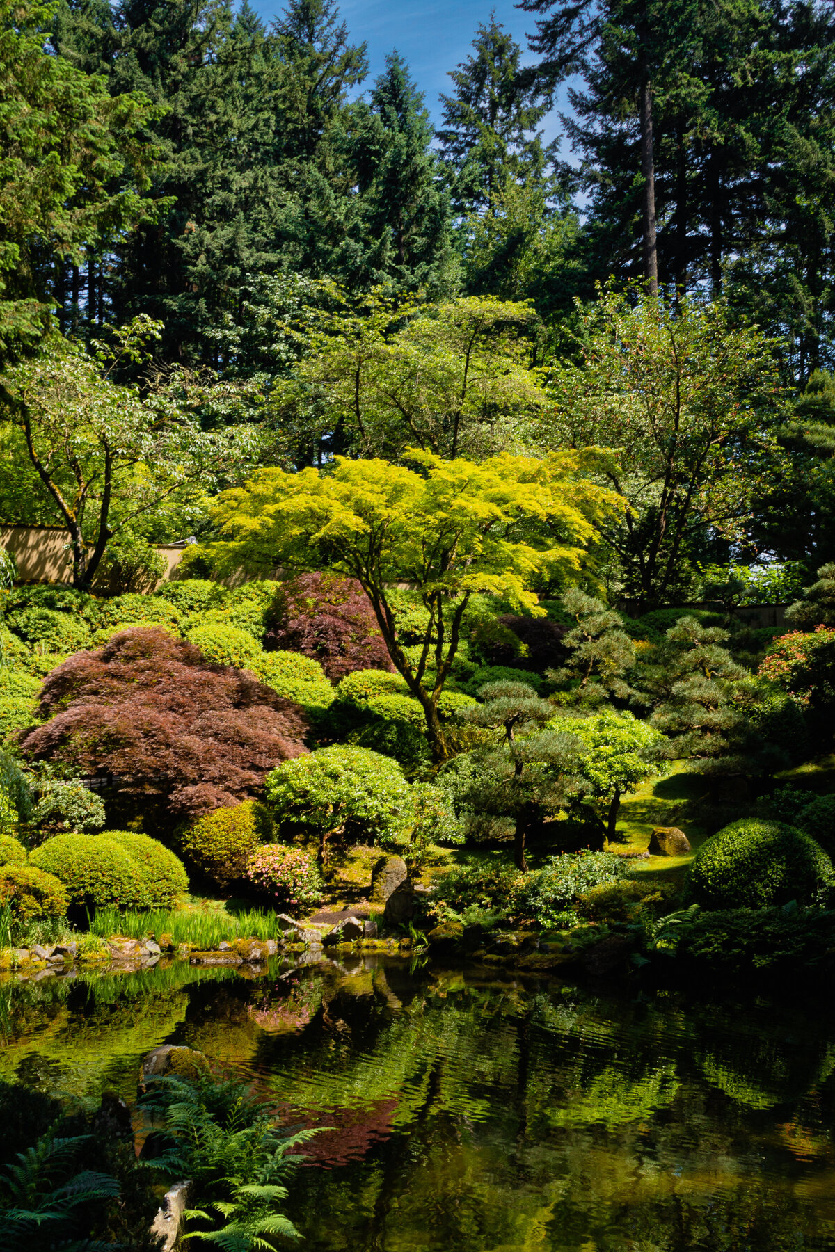 garden_8295_C1