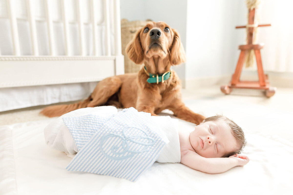 JLTPhotogGibsonNewborns-133