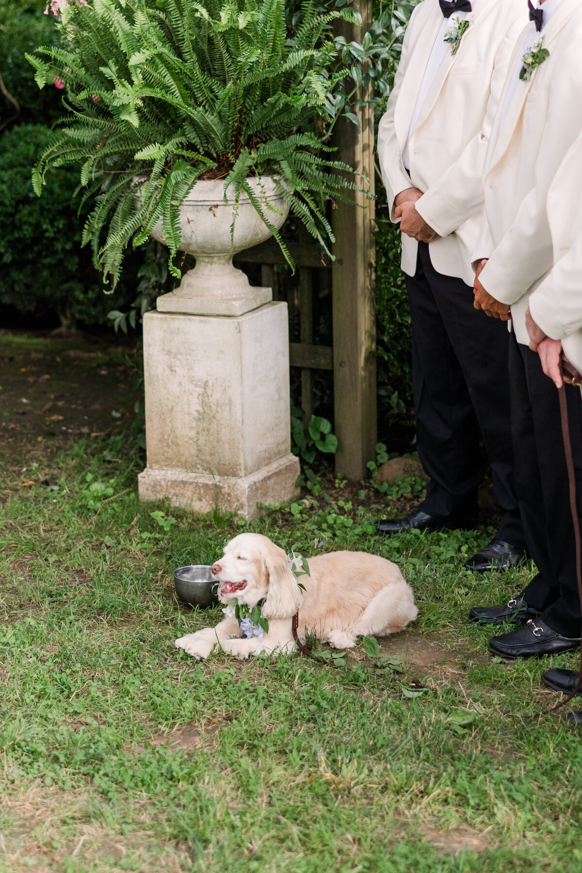 Historic-Tuckahoe-Richnond-Wedding-Planner-16