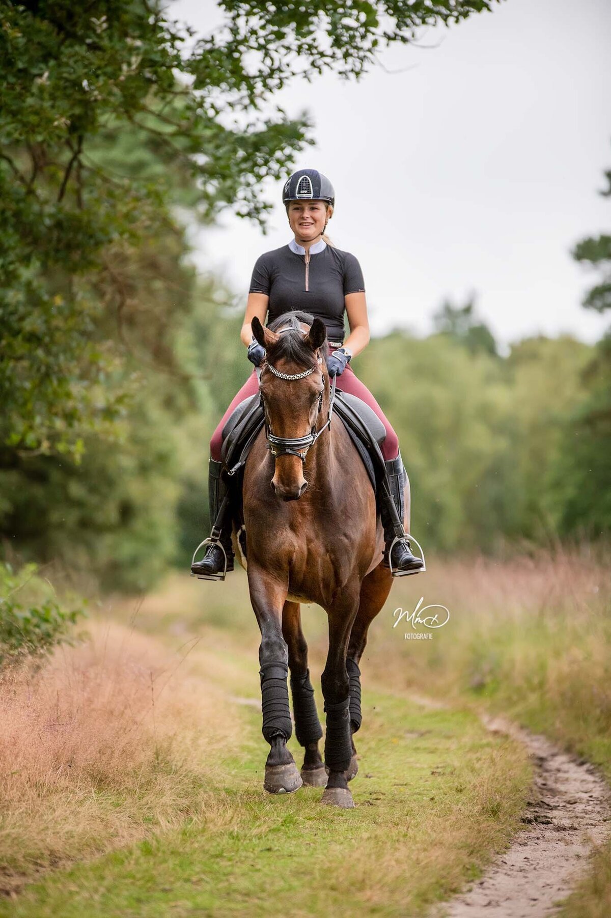 paardenfotograaf friesland-3