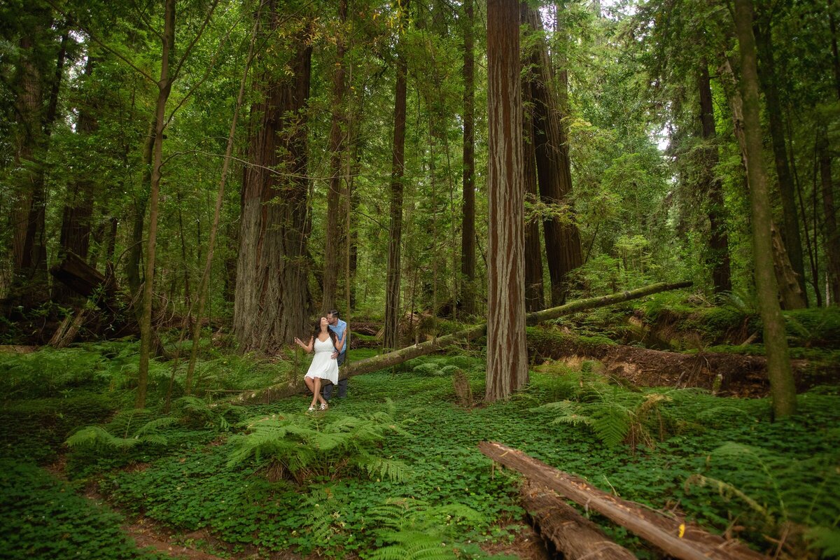 Engagement-Photographer-Avenue of the giants-redwoodsHumboldt-County-romantic-redwoods-elopement-Humboldt-redwoods_0141