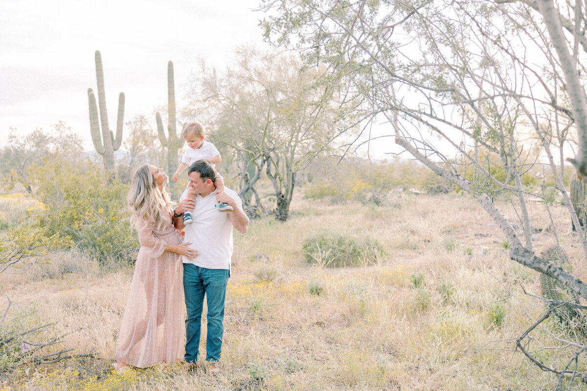 Scottsdale Maternity Photographer-30