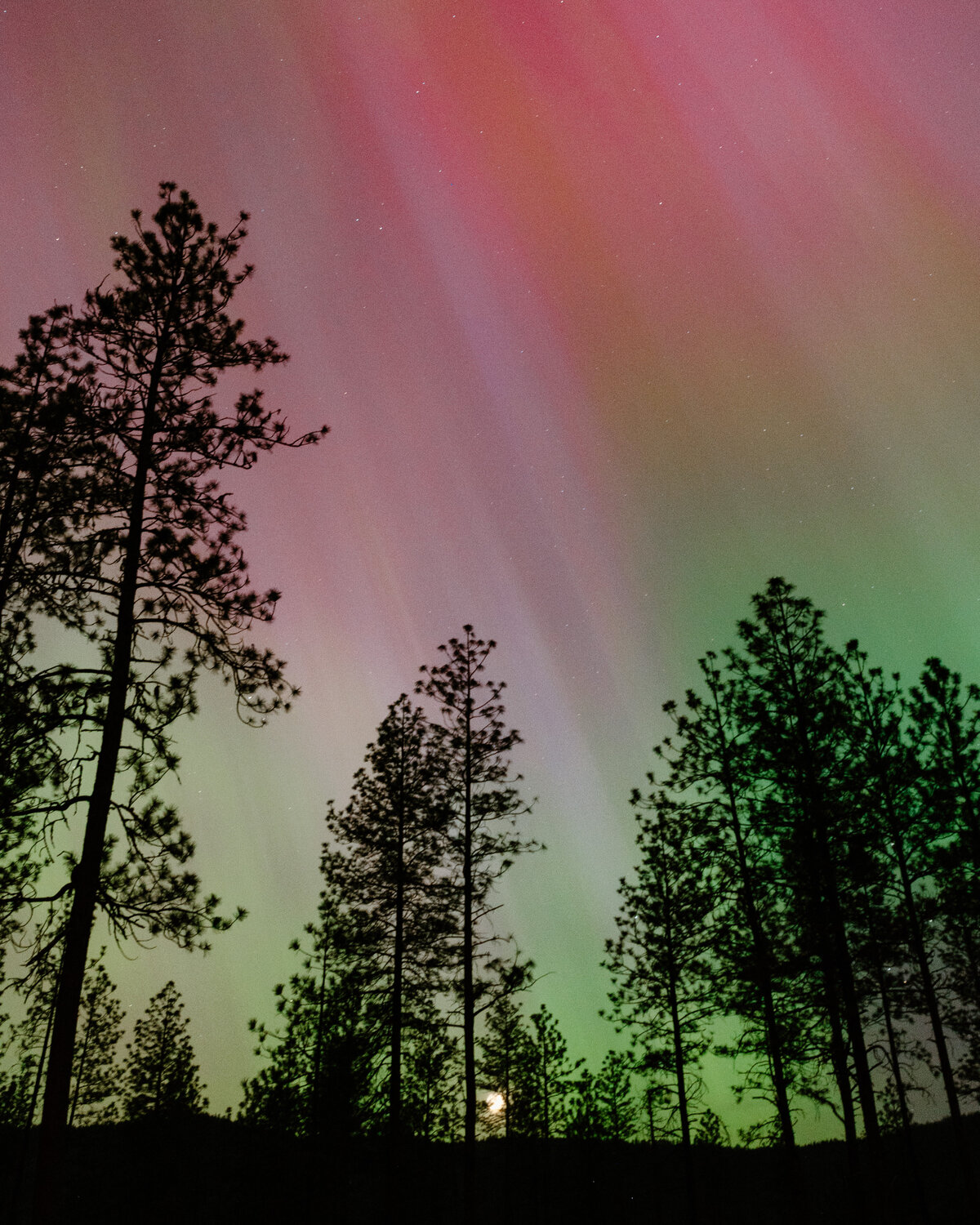 northern_lights_aurora_borealis_spokane_washington_04