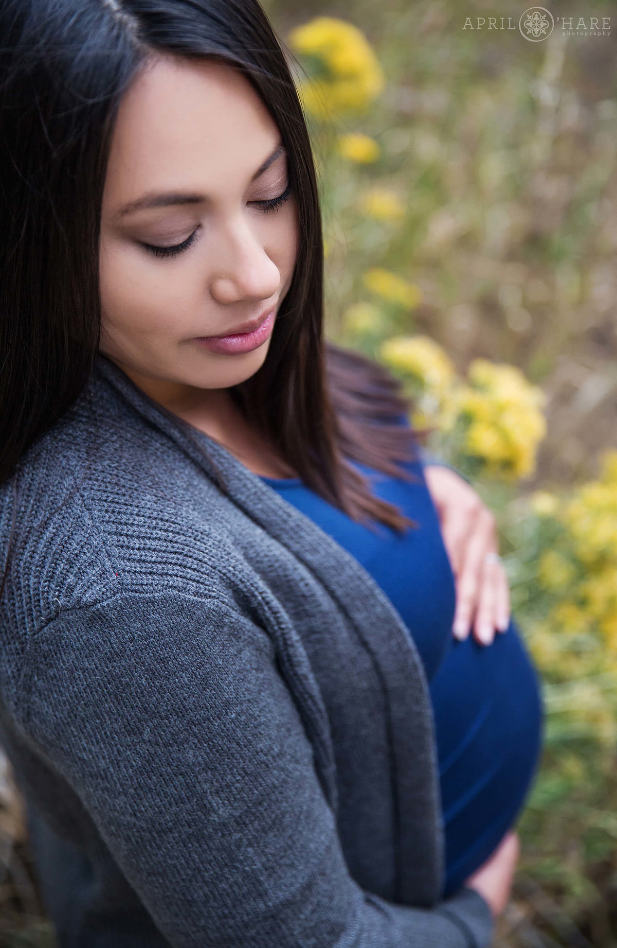 Denver Maternity Photography  During Fall in Colorado
