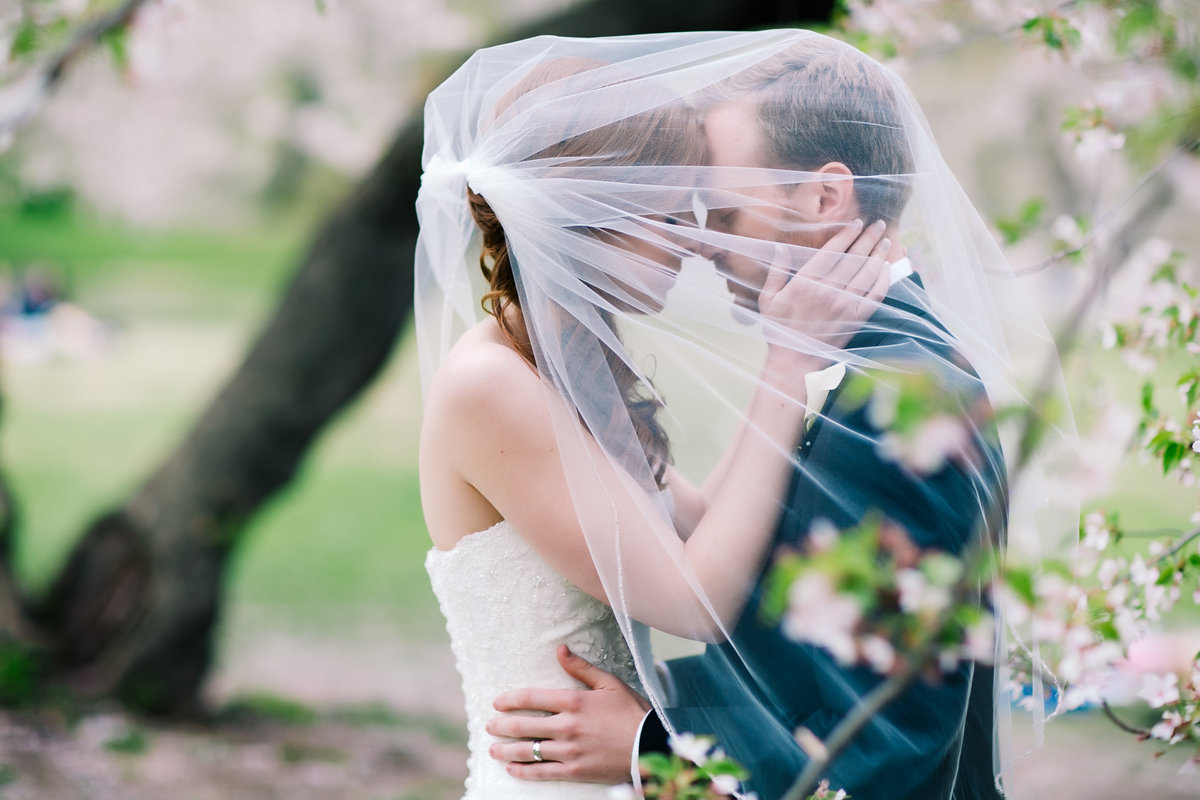 romantic bride and groom under a veil in central park in the spring