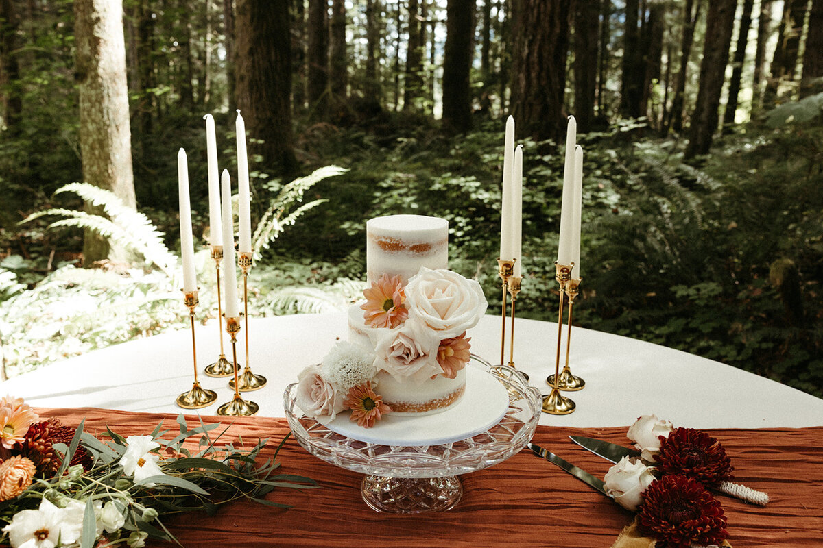 MtRainierSmallWedding-DallinHazard-380