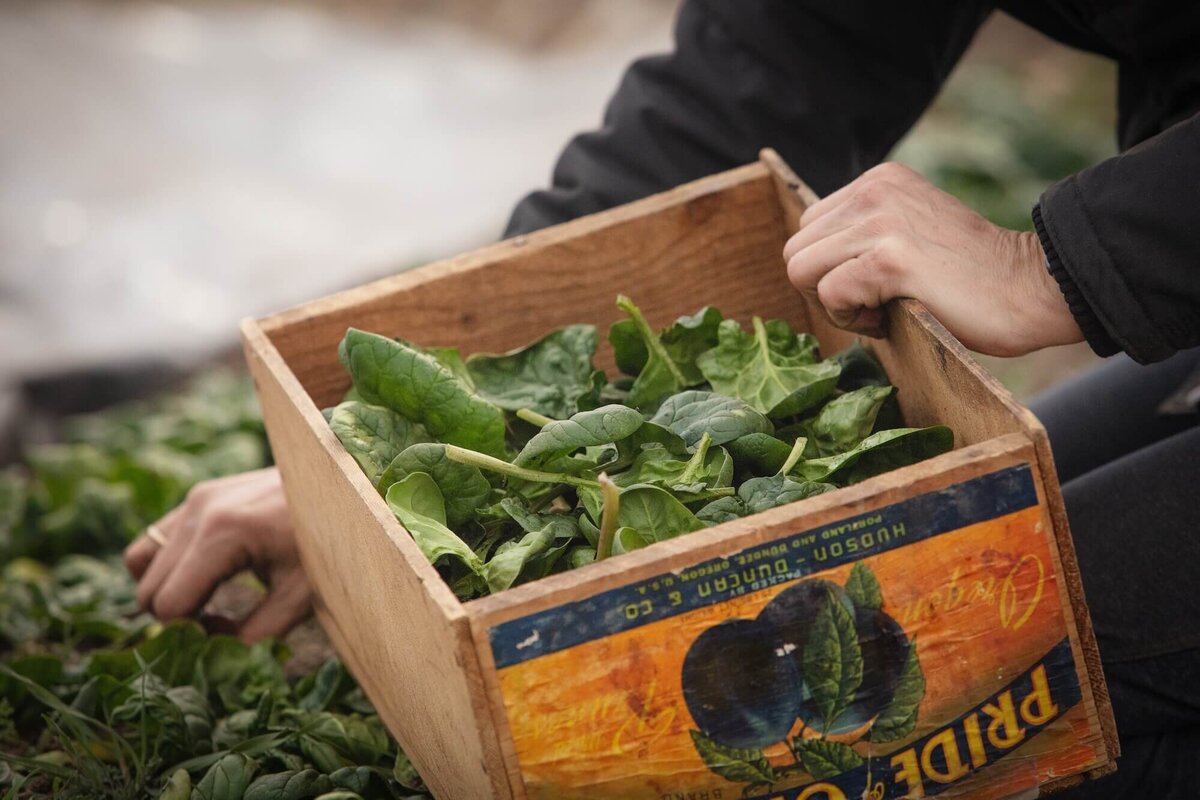 BSK_Experience_Farm_2022-111