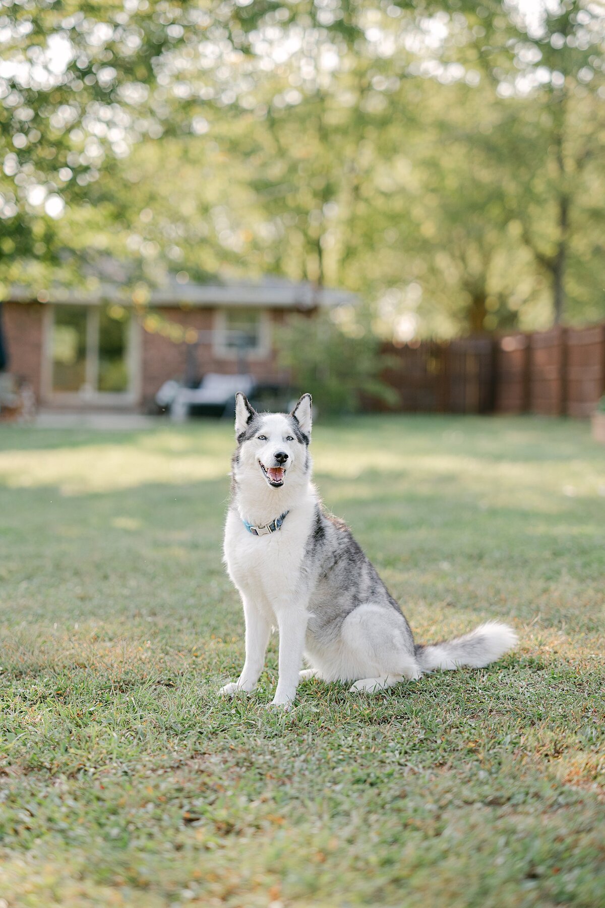 Alison Mae Photography_2237