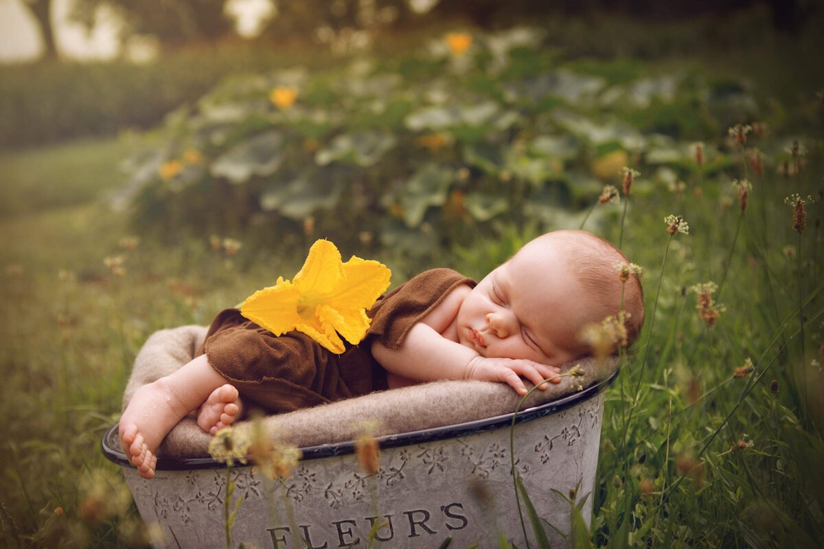 Sandra-Munch-photographie-naissance-alsace-lorraine-10