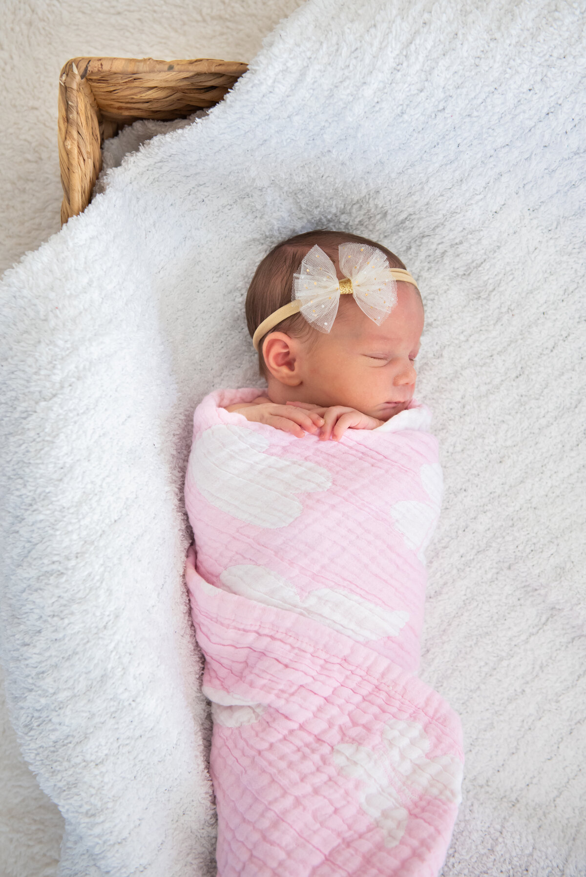 JSchmittPhoto-rosie-1-5