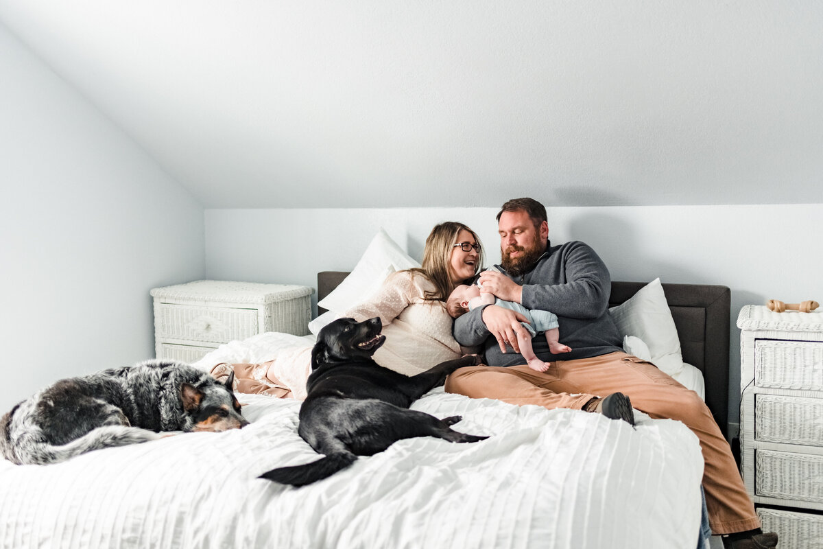 Newborn photography with dogs