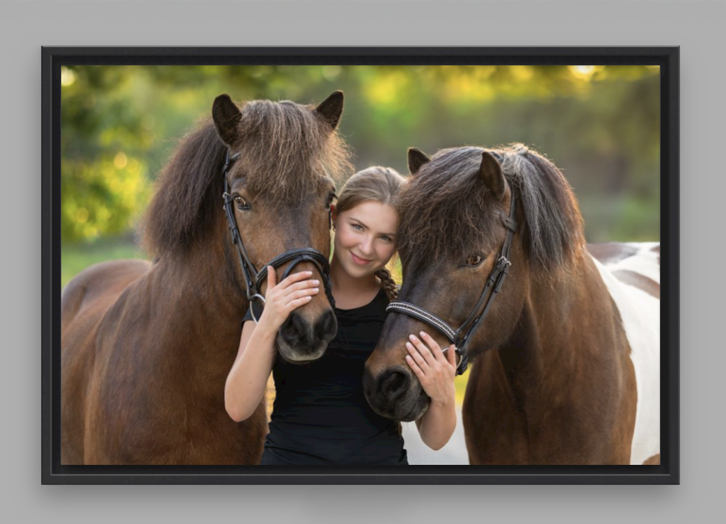 JB Float Pro Equine 