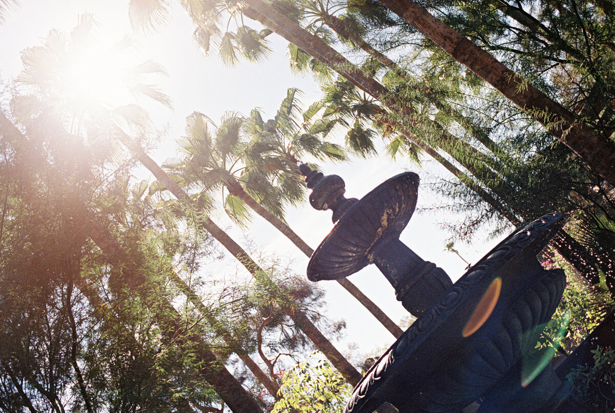 Arizona Wedding Photographer (3 of 102)