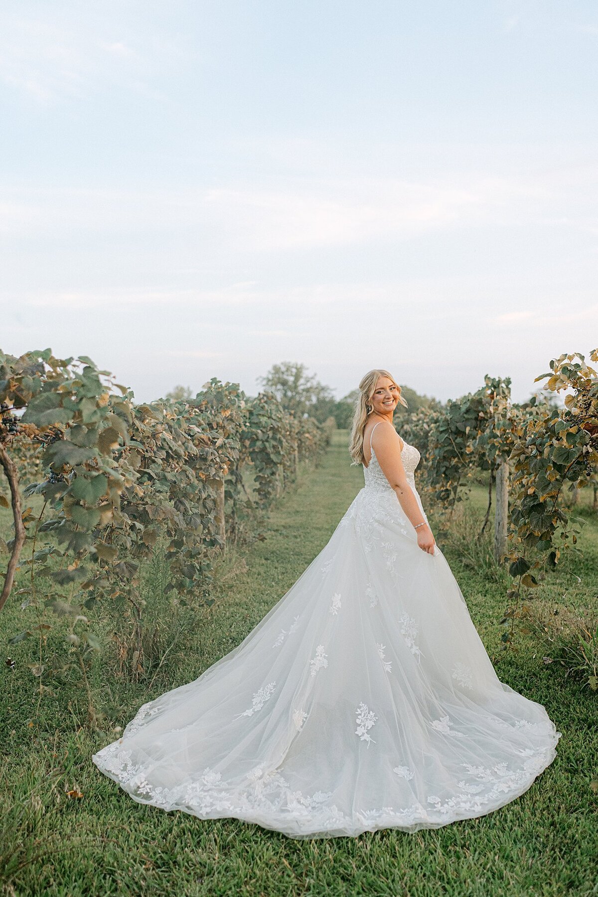 Daniel's Vineyard Wedding Alison Mae Photography_3192