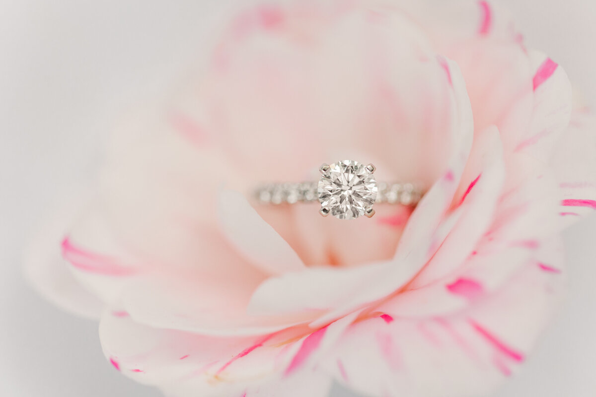 Jennifer B Photography-John and Olivia-Engagement-Weymouth Gardens, Southern Pines, NC-2020-0321