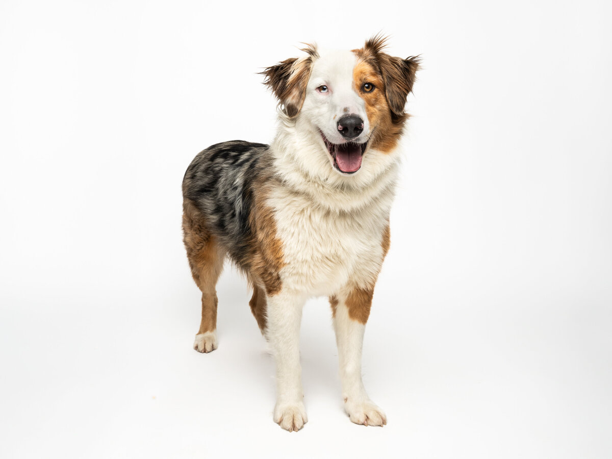 Website3500-DSC01421