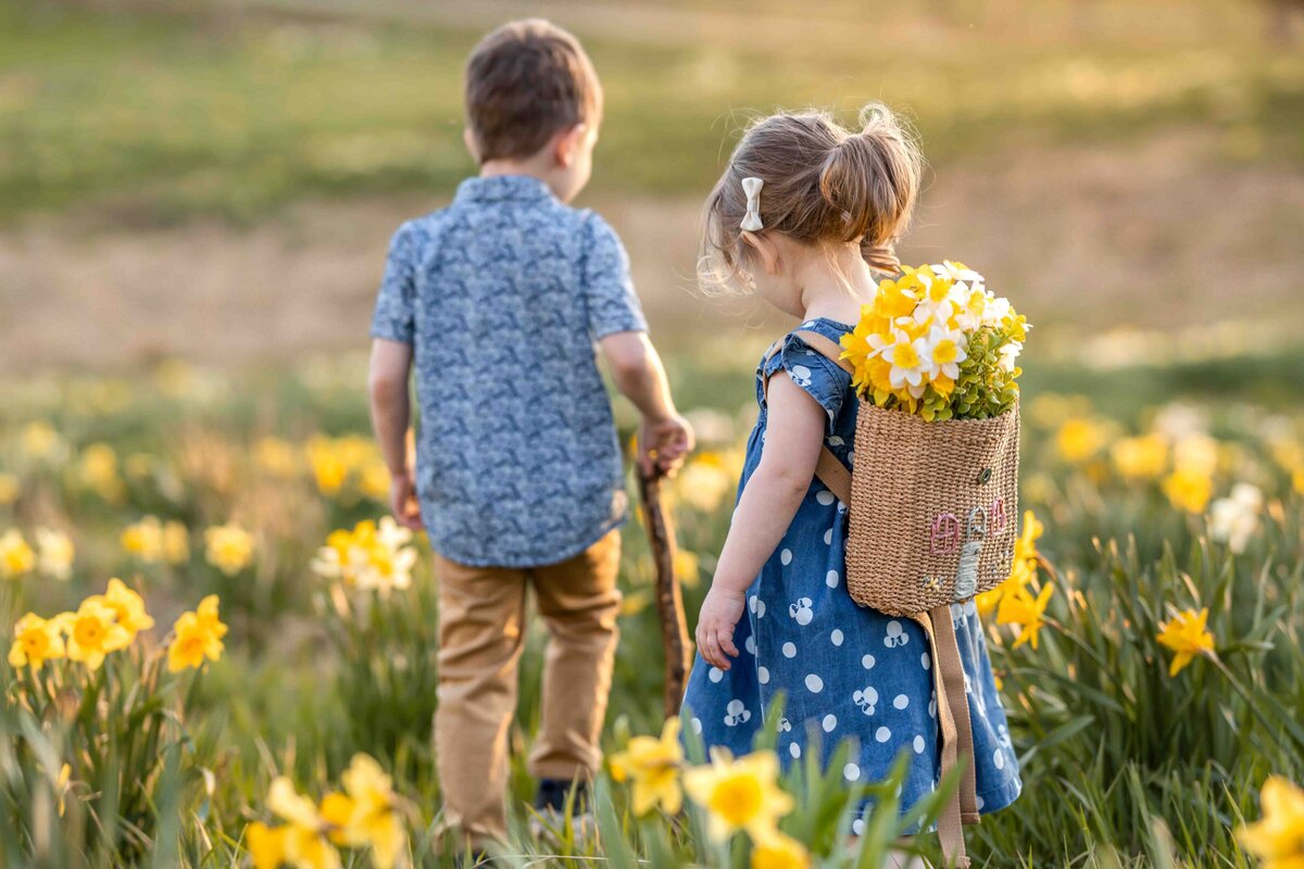 daffodils-28