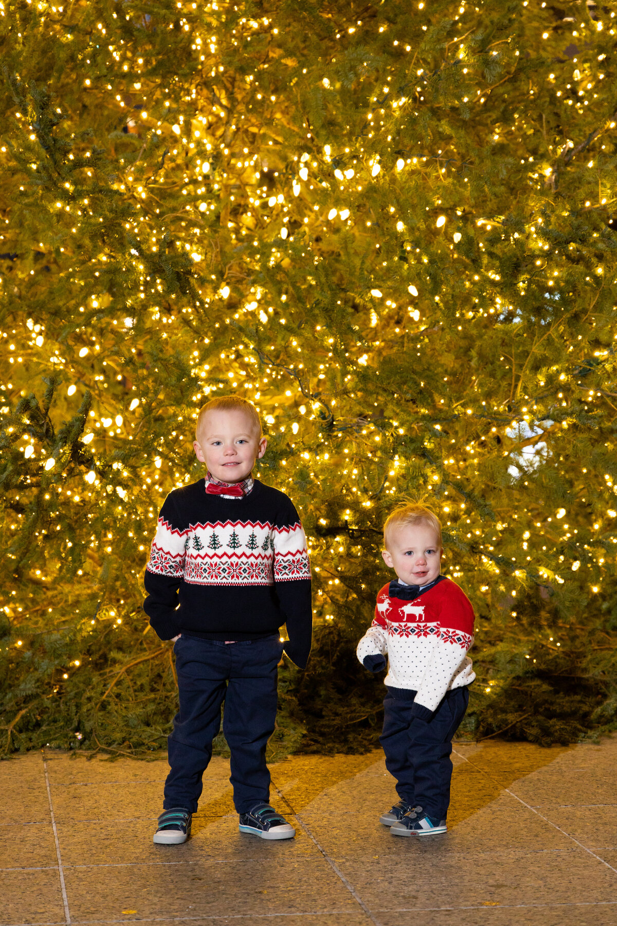 SchneiderHoliday2023_0005