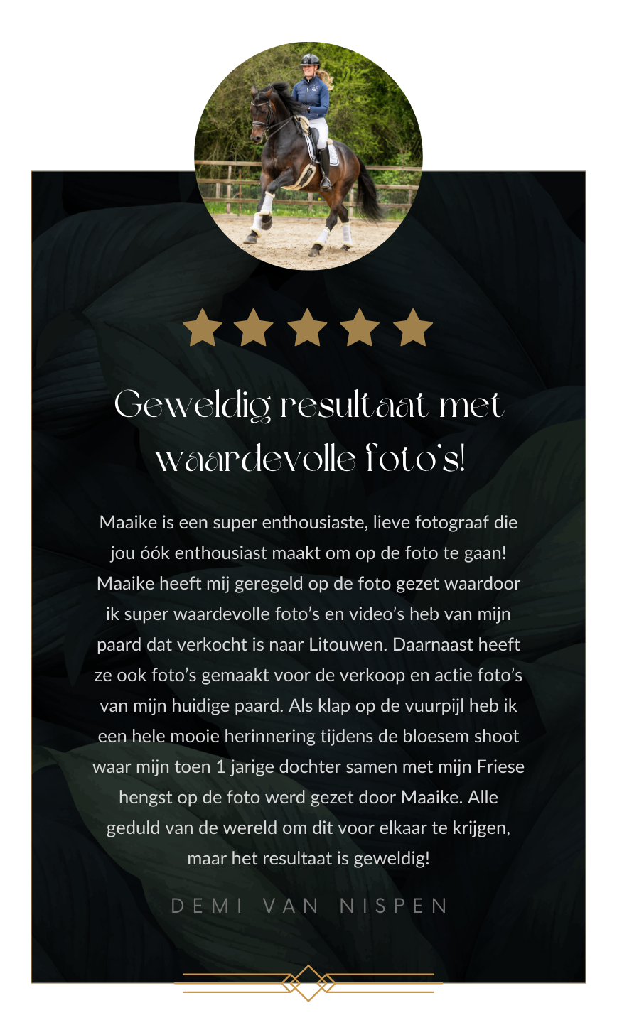 Demi van Nispen review
