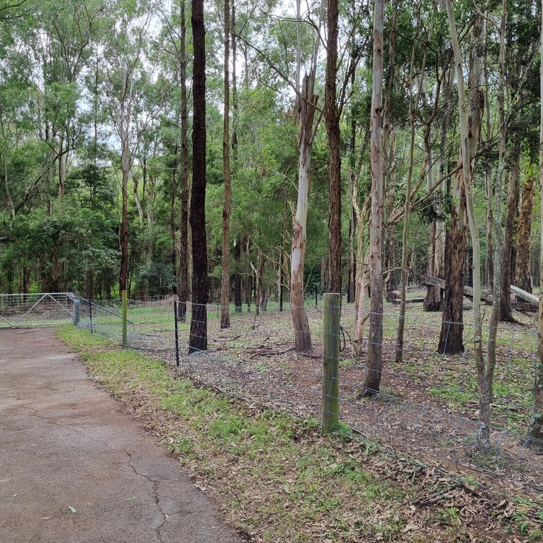 Australian bush block with tall gum trees and rural fencing