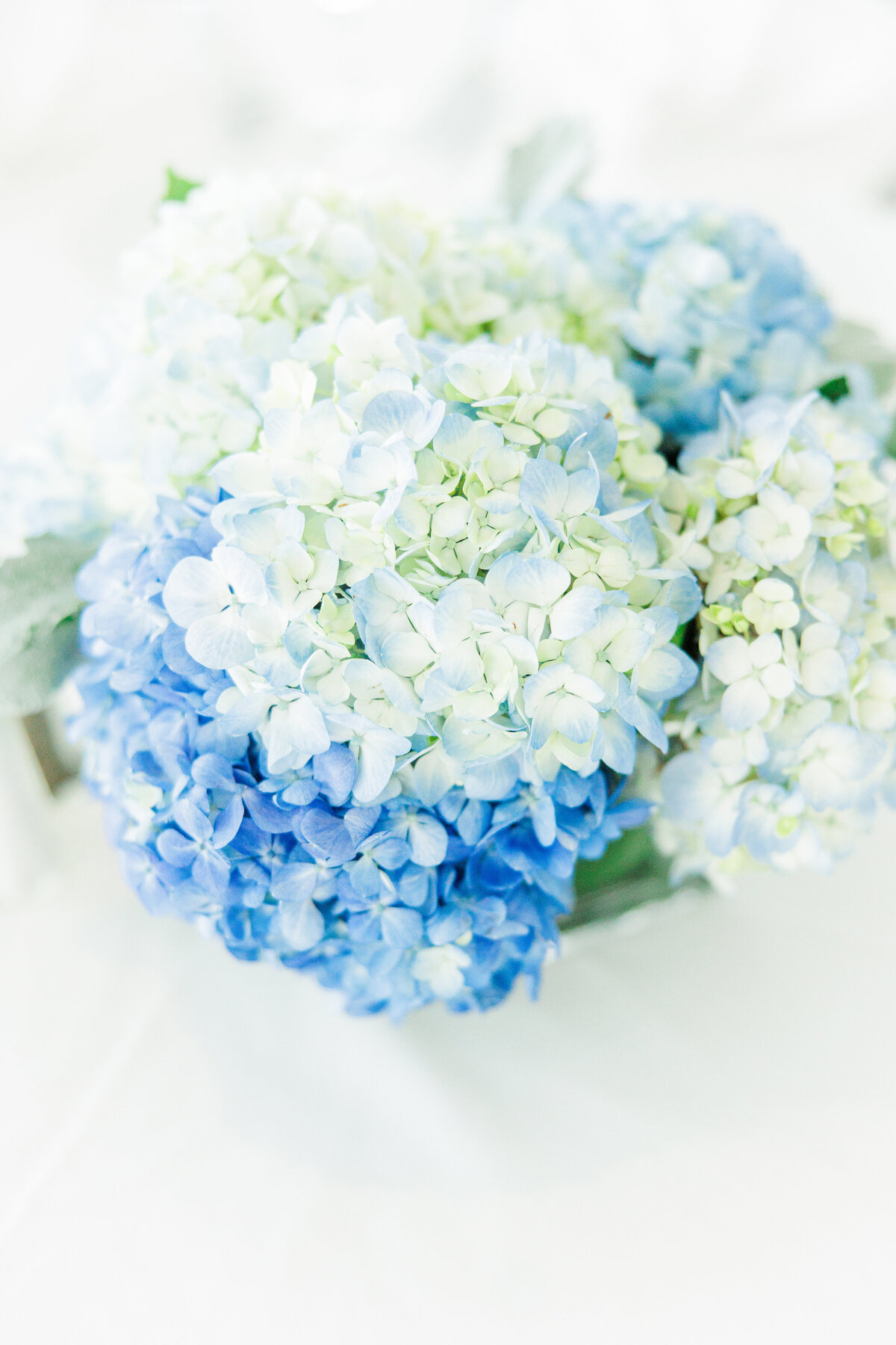 Blue hydrangea centerpieces during a South Shore Country Club wedding reception