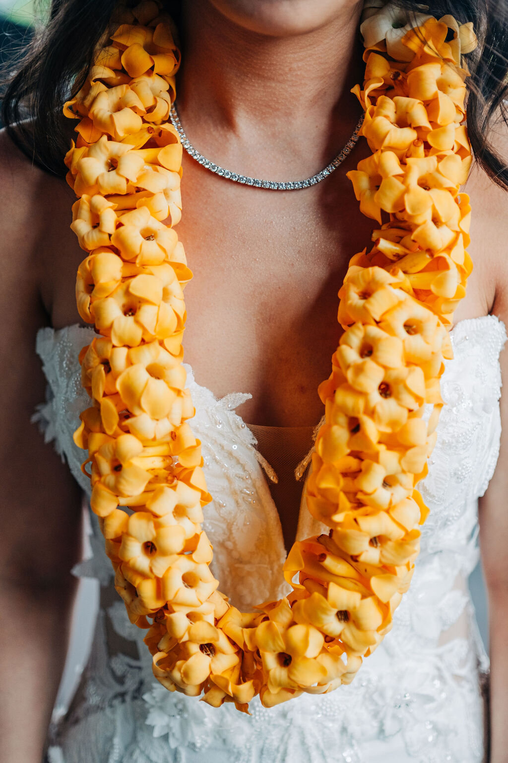 mitsuda-1-gettingready-250