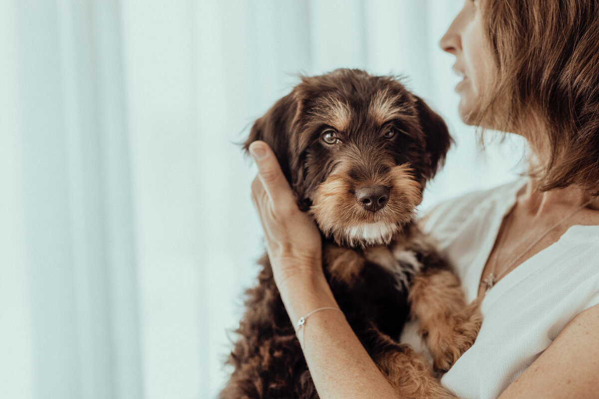 the-lifestyle-phodographer-perth-family-pet-photographer-gotcha00006