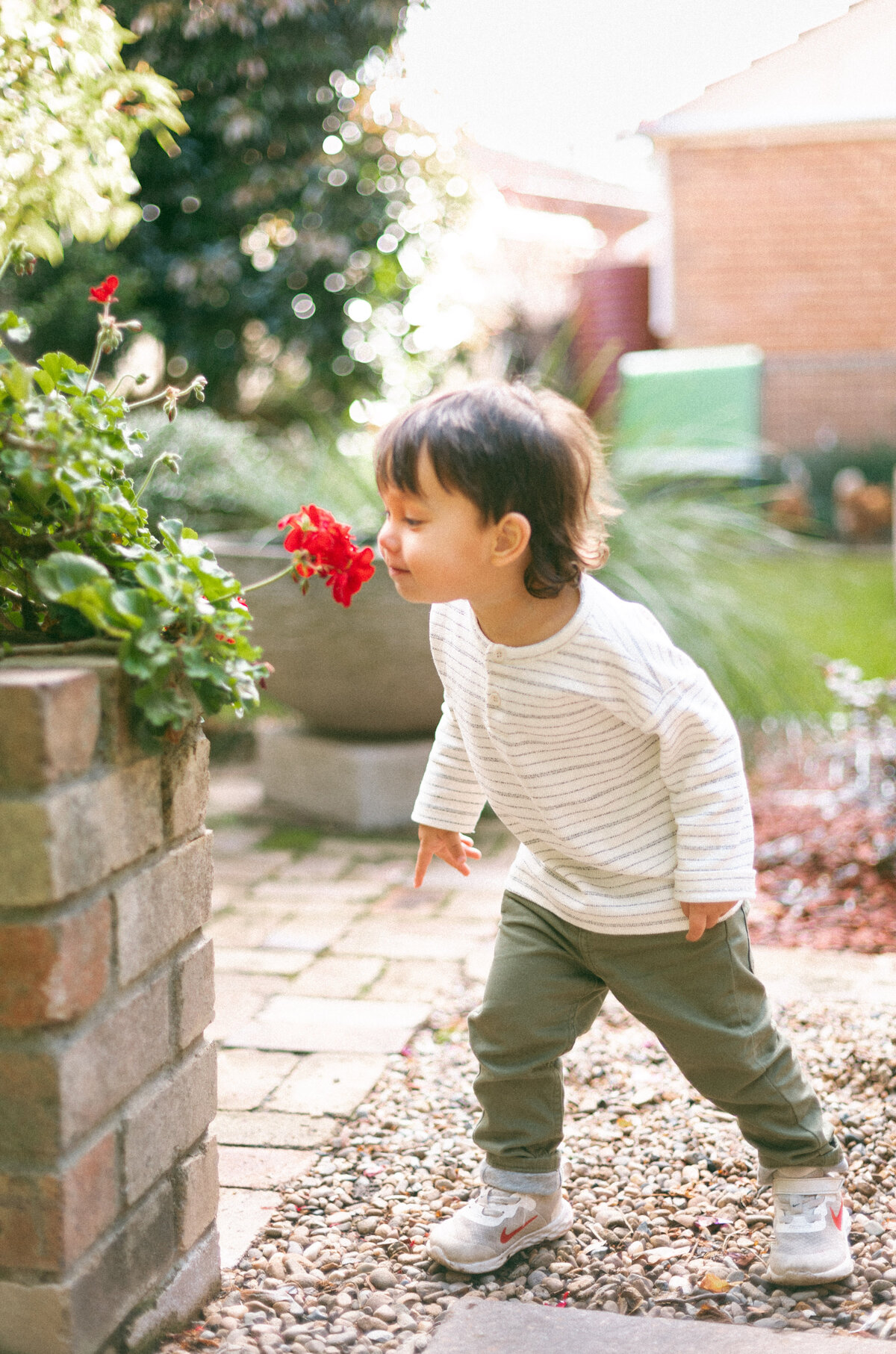 Rowan turns 2_daydreamer preset trial-8