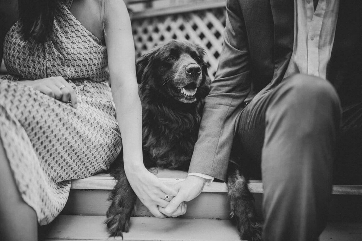 Couple holding hands with dog in the middle in Sparta New Jersey