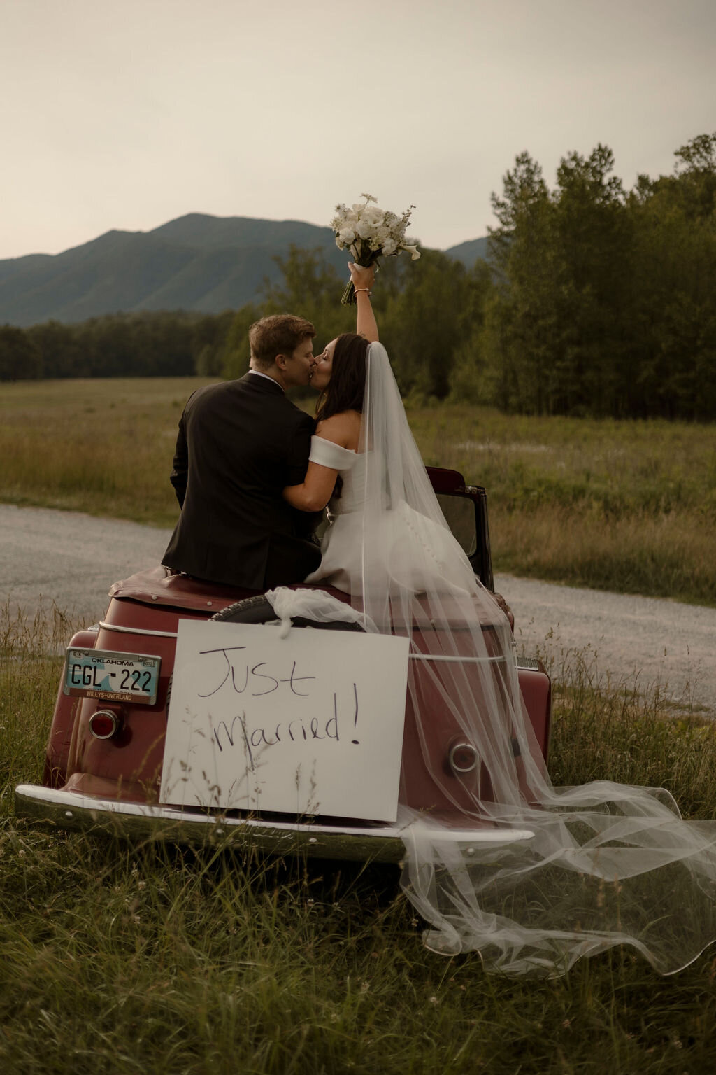 smoky mountain photographer (6)