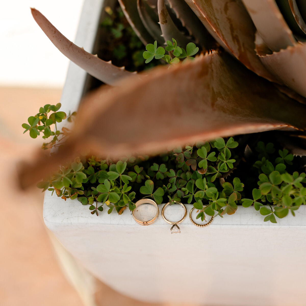 10222023_MaryBeth+BryceWedding_VenturaCA_AnjaJensenPhotography-48