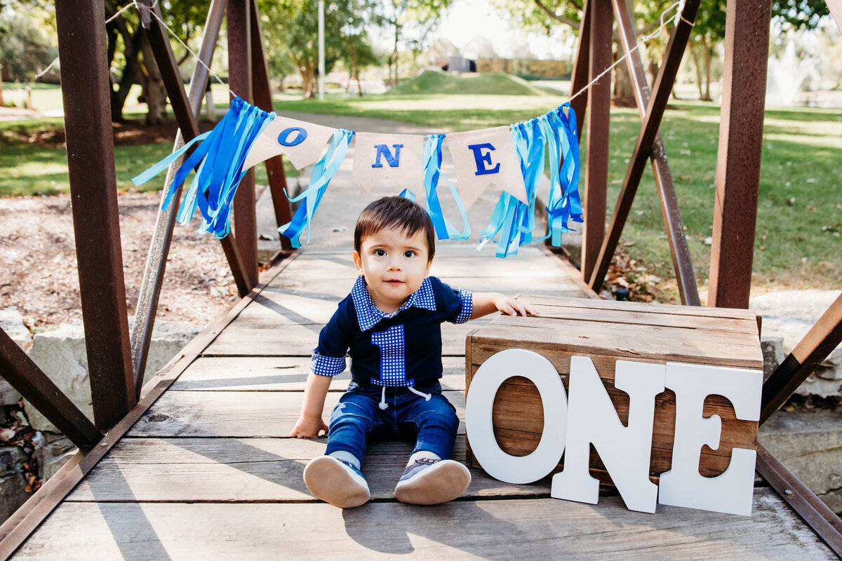 Chicago First Birthday Cake Smash Photographer11