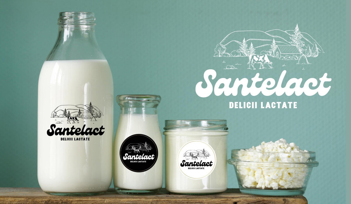 brand design for dairy company22