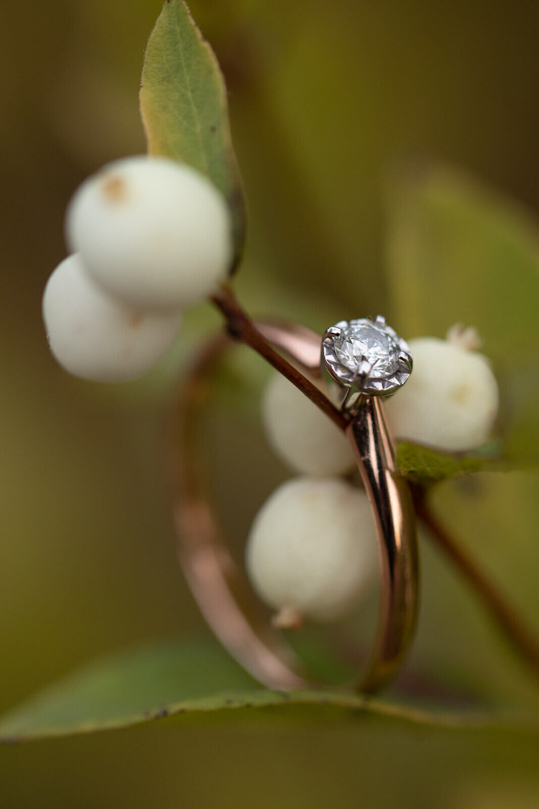 Blewett-Pass-Fall-Engagement-Teresa-Bicchieri-Photo-1