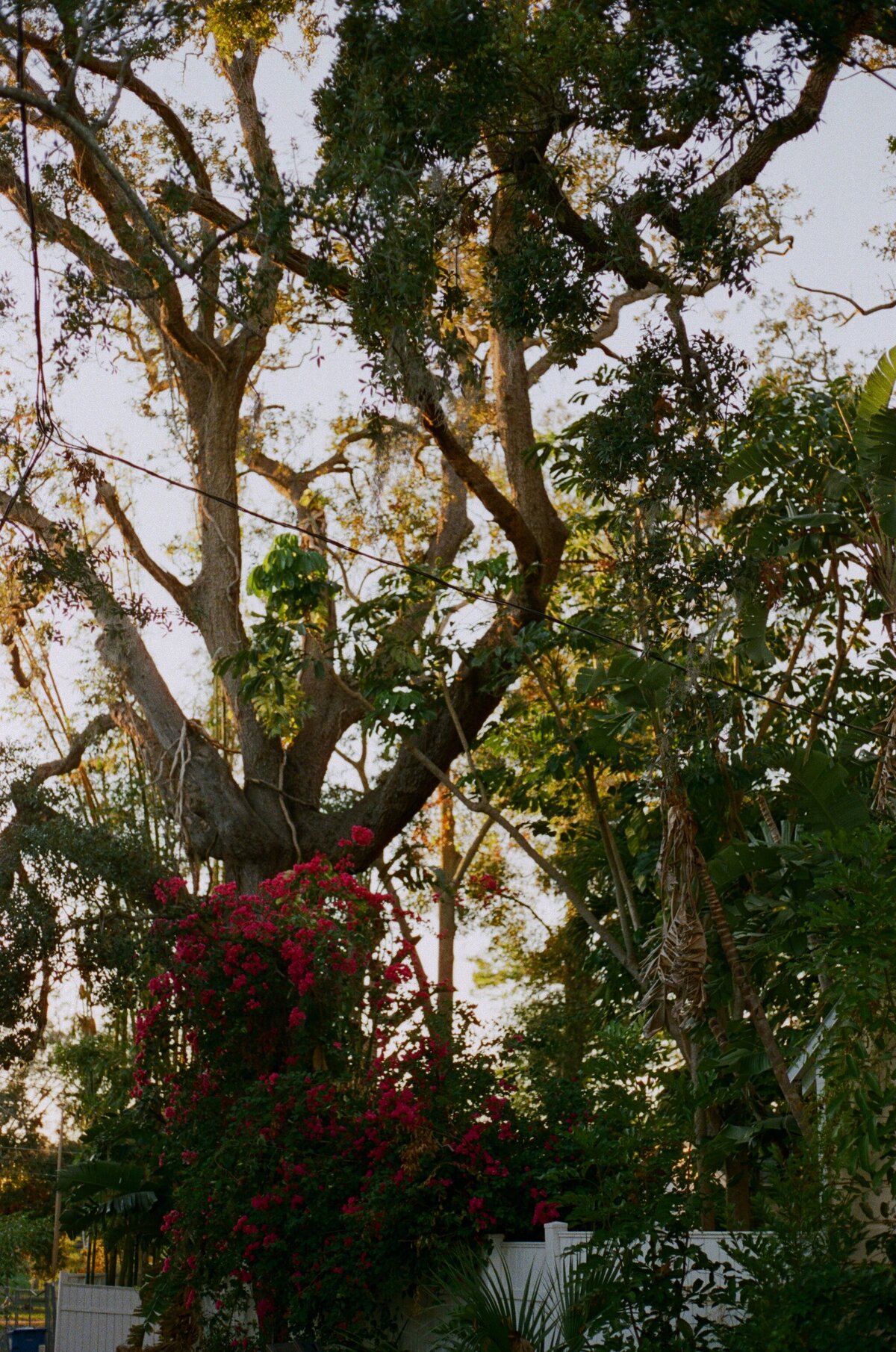 nashville-film-wedding-photographer3
