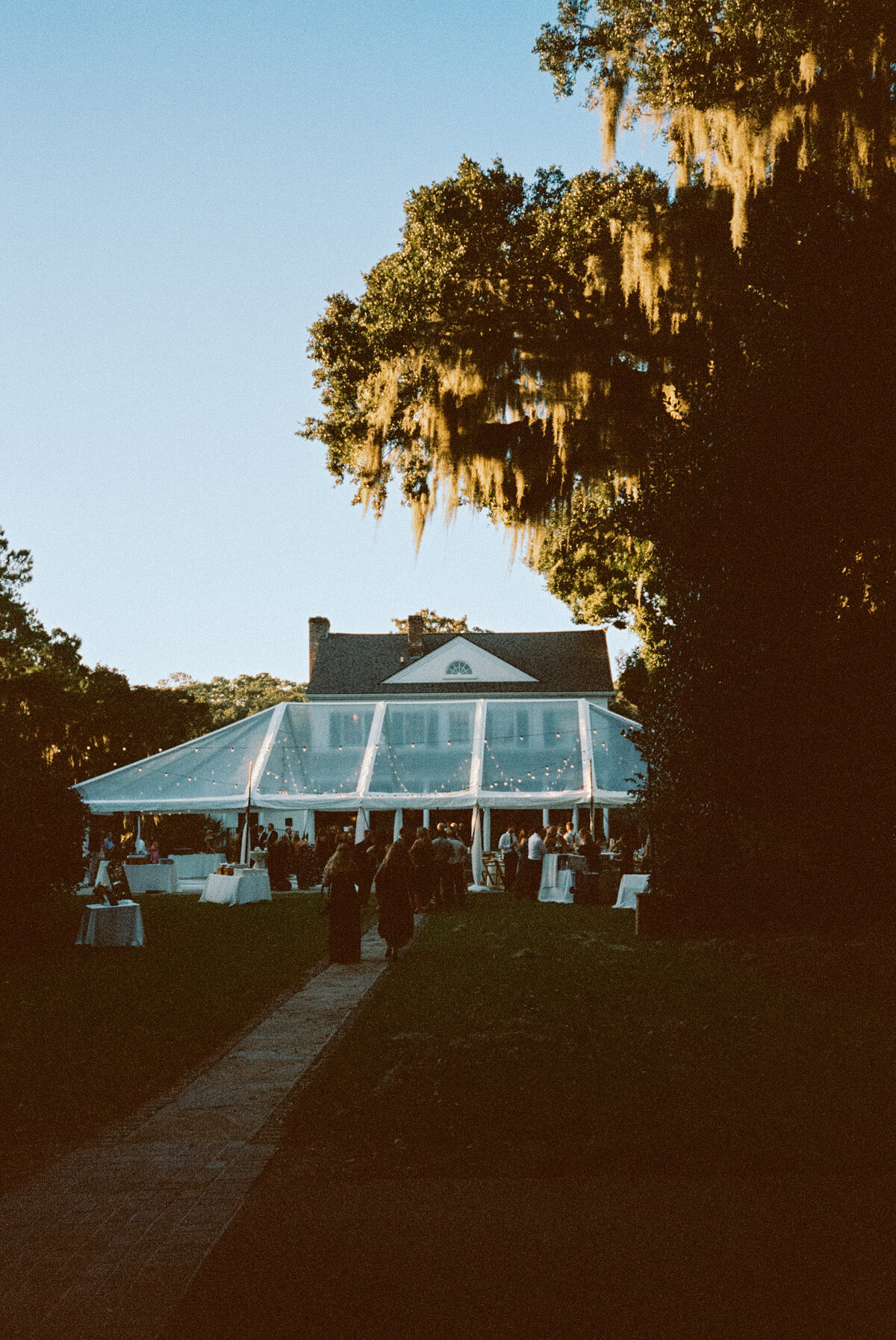 Timeless-Charleston-Tent-Garden-Party-Wedding-2052750-R1-037-17