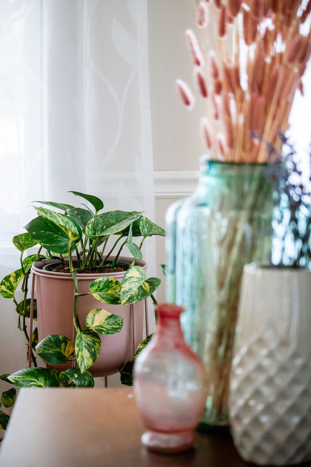 A close-up of a wooden surface with several decorative items. On the left, a pink pot holds a thriving Golden Pothos plant with variegated green and yellow leaves cascading down. To the right, a tall, textured light green glass vase contains dried, feathery ornamental grasses. In front of it, a small, translucent reddish-pink glass bottle and a taller, off-white ceramic vase with a diamond pattern are visible, slightly out of focus. A sheer white curtain hangs in the background, suggesting a window nearby. The lighting is soft and diffused.