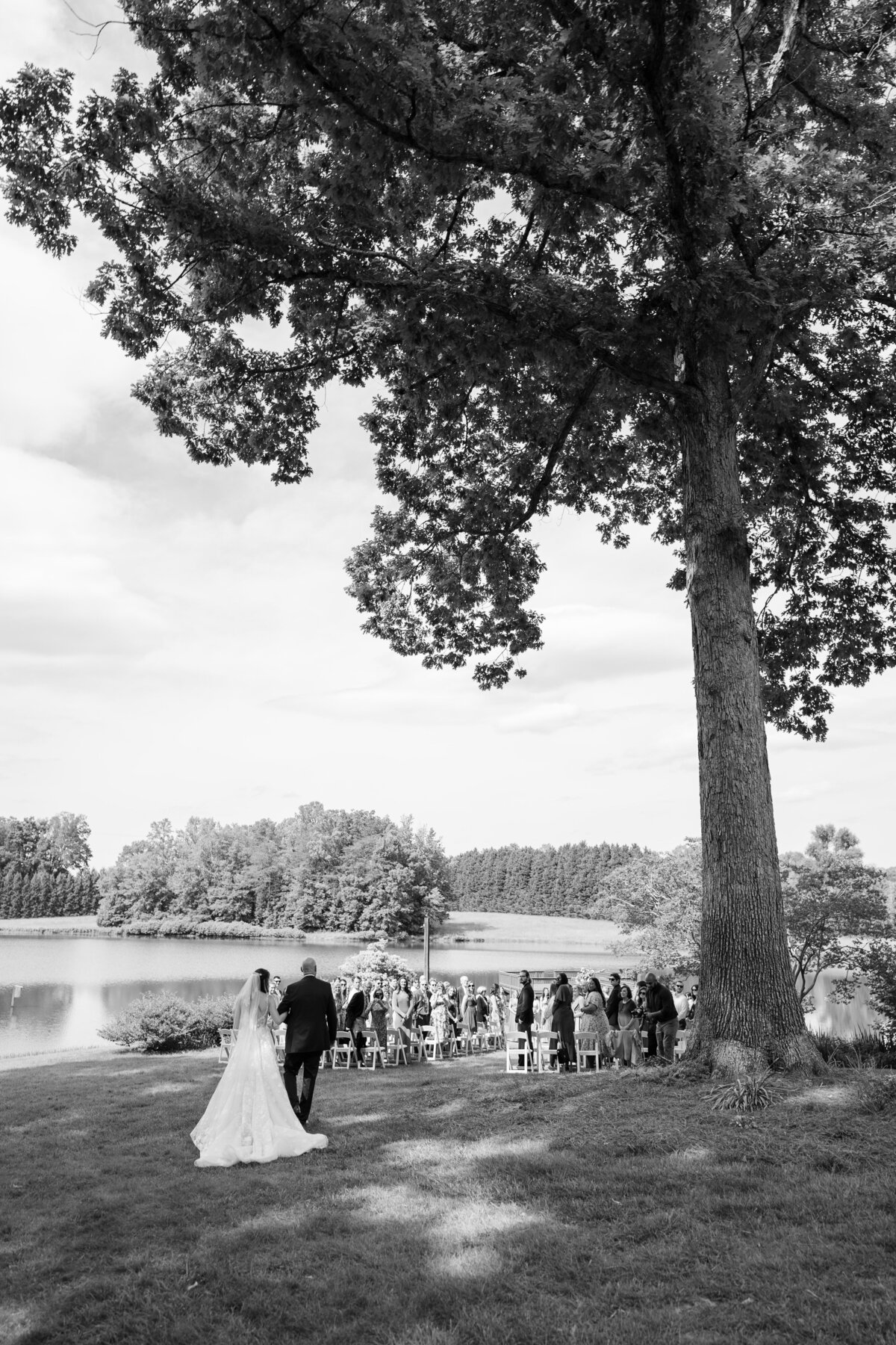25033_2536_bw