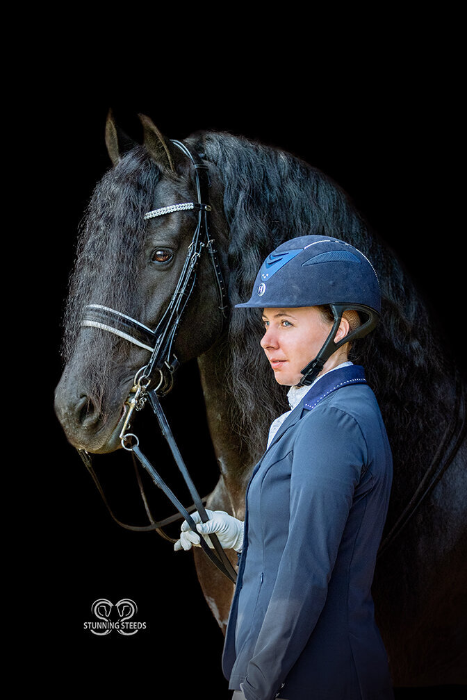 friesian dressage stallion florida brec