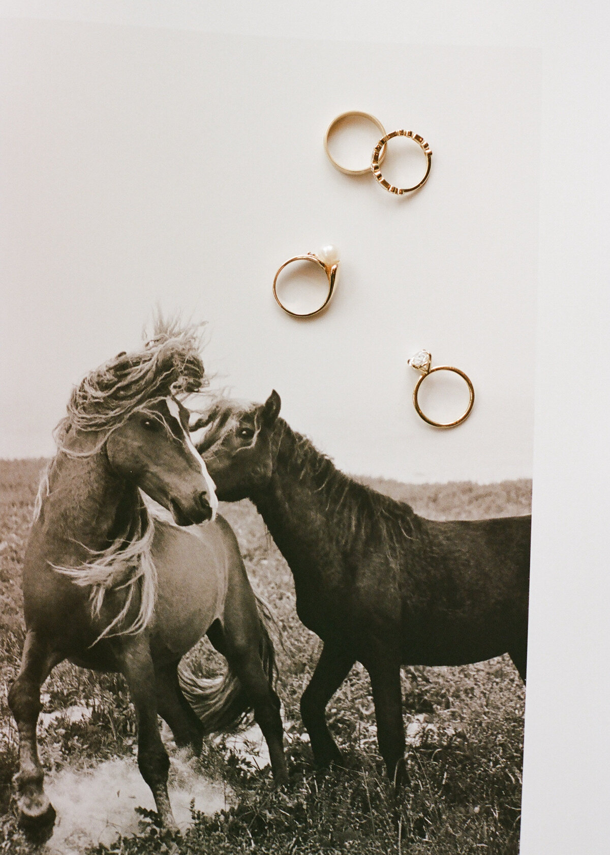 Blue Sky Auberge Wedding-32