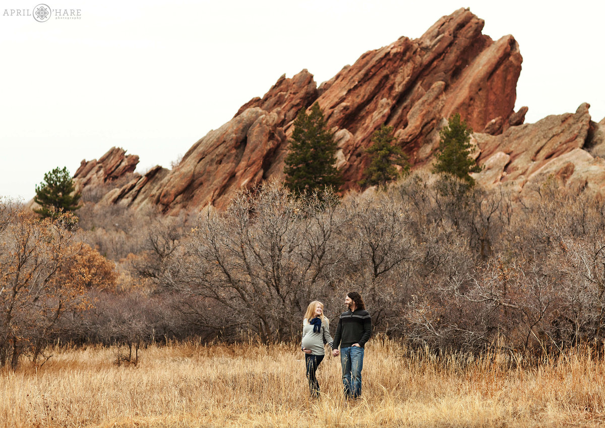 Winter Colorado Maternity Photography at Roxborough State Park