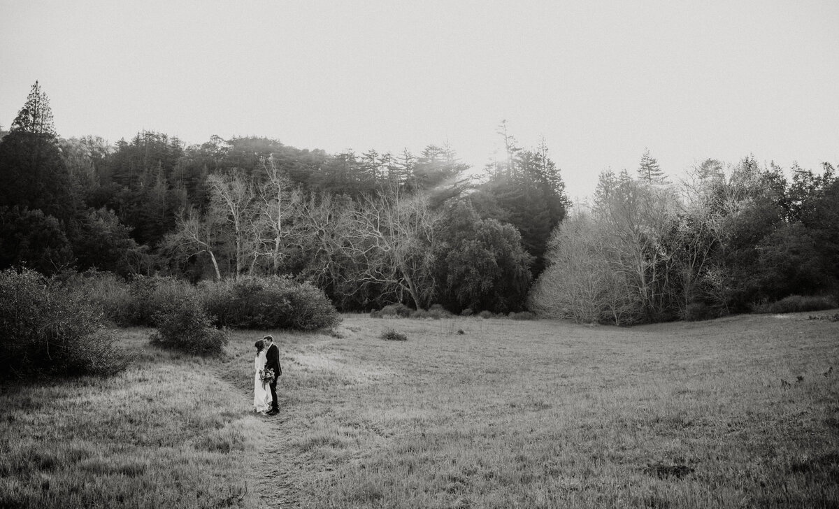 THEDELAURAS_HALEYBRAD_BIGSUR_ELOPEMENT_0101-2