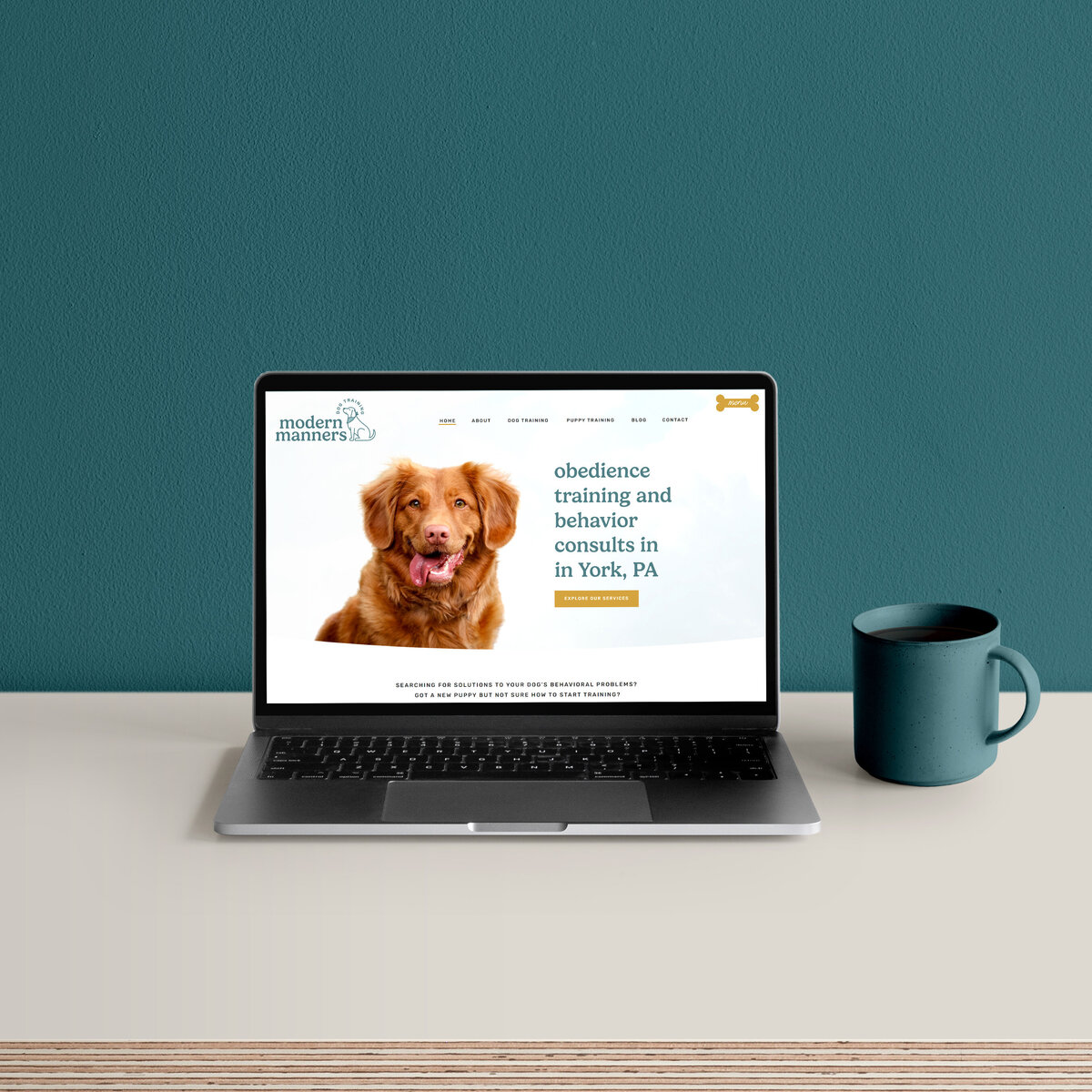 Showit Website Designer For Dog Trainer