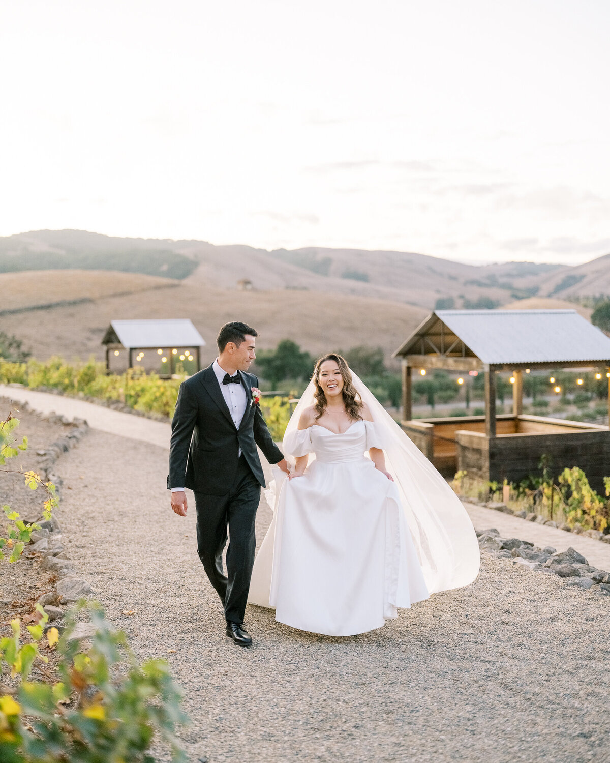 Golden hour wedding portraits at Viansa Winery