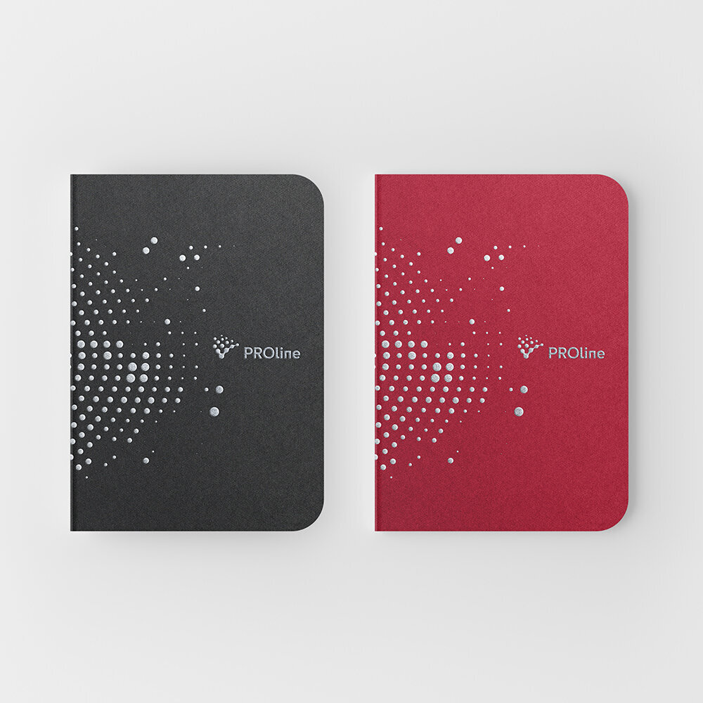 Proline-13-brand-identity-logo-powder-coating-dots-Be-spotted-brand-studio