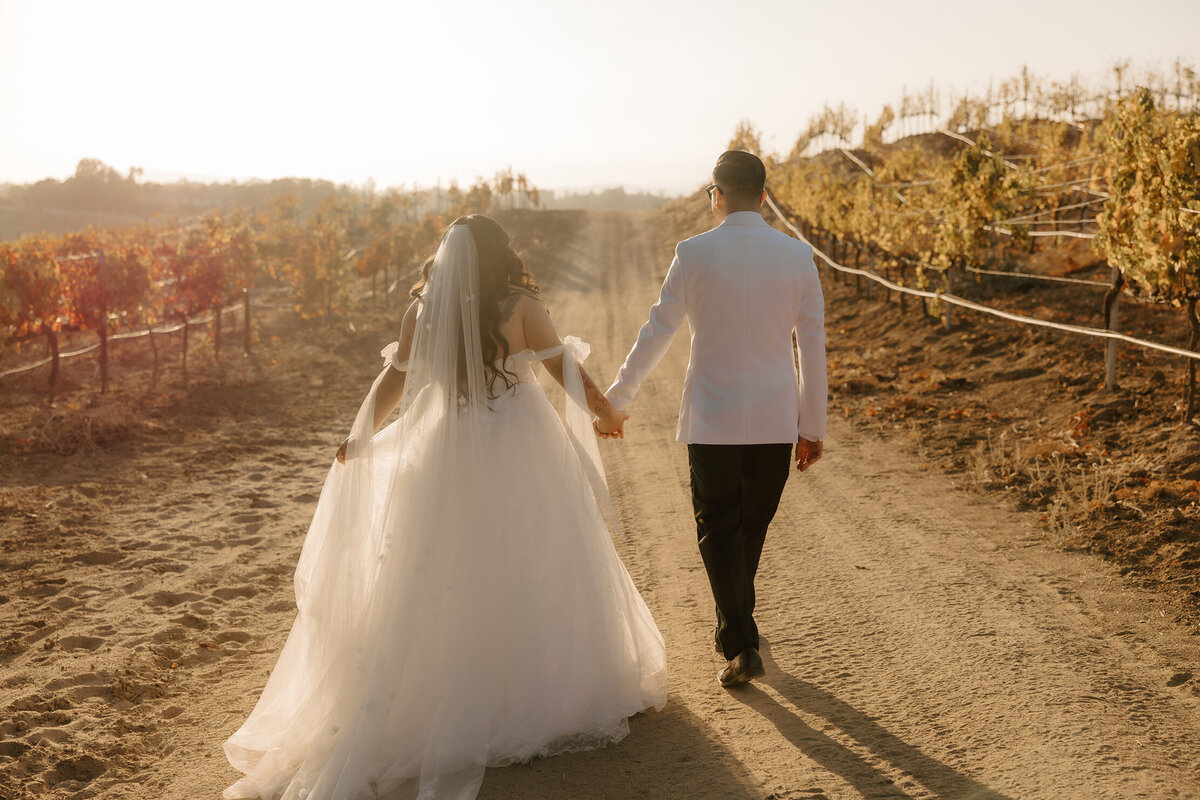 bride-groom-walking-into-sunny-vineyard-meg-pearson-photography-midwest