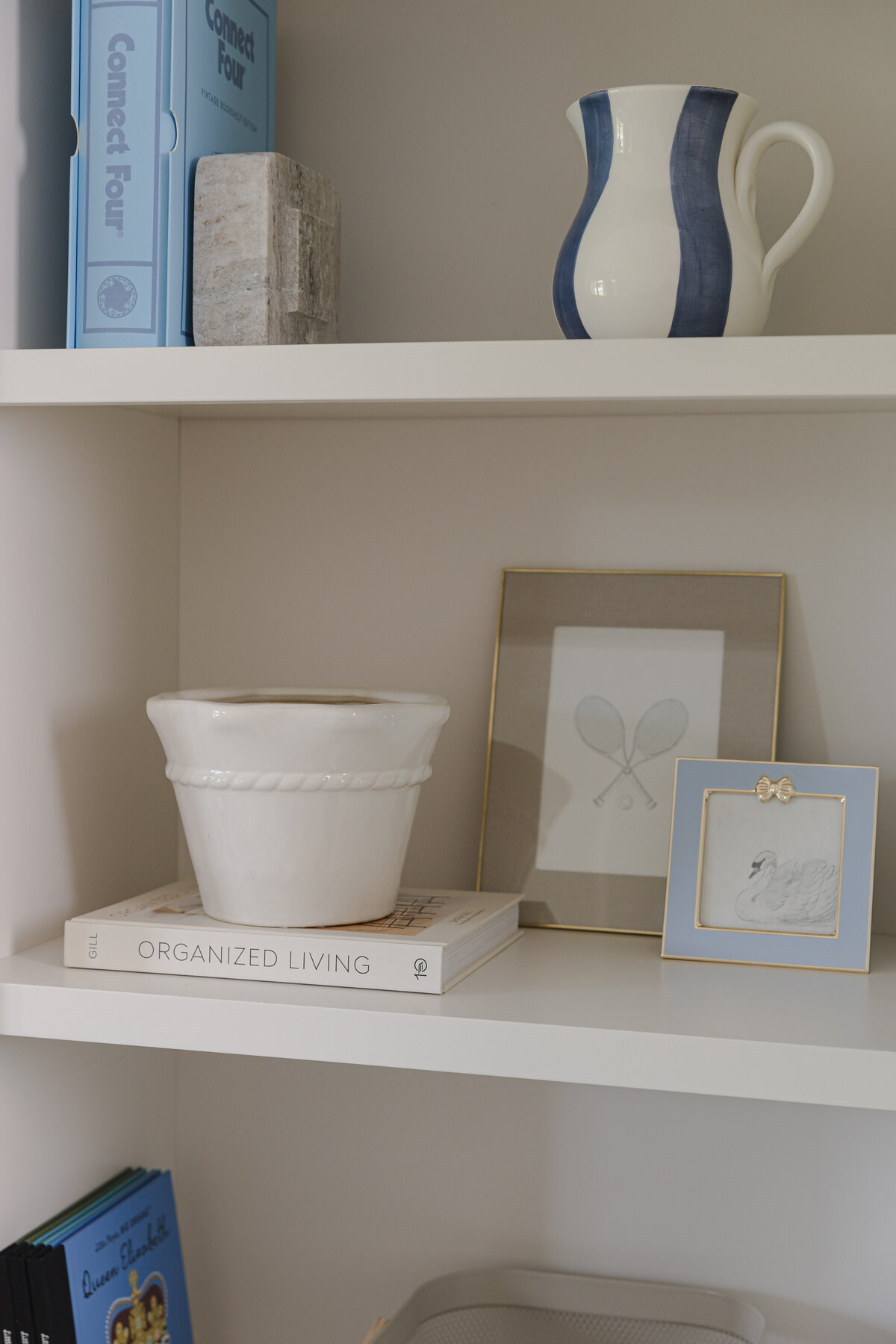 Living room bookshelves